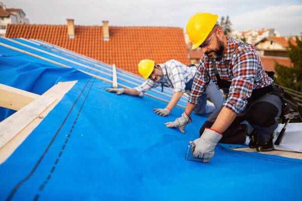 Best Roof Maintenance Services  in Kings Park, VA