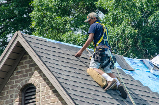 Best Roof Gutter Cleaning  in Kings Park, VA